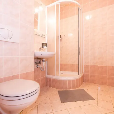 招待所 Stribrna Lhota 3*