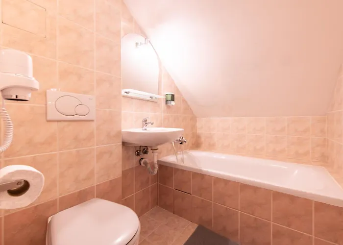 Maison d'hôtes Stribrna Lhota